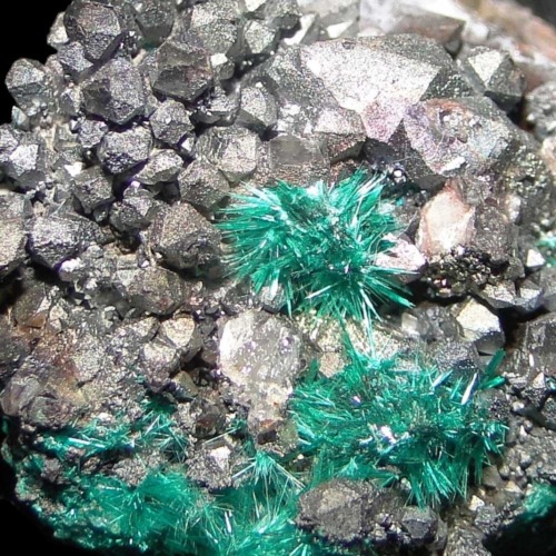 Brochantite