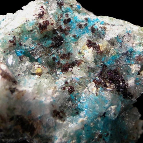 Canutite