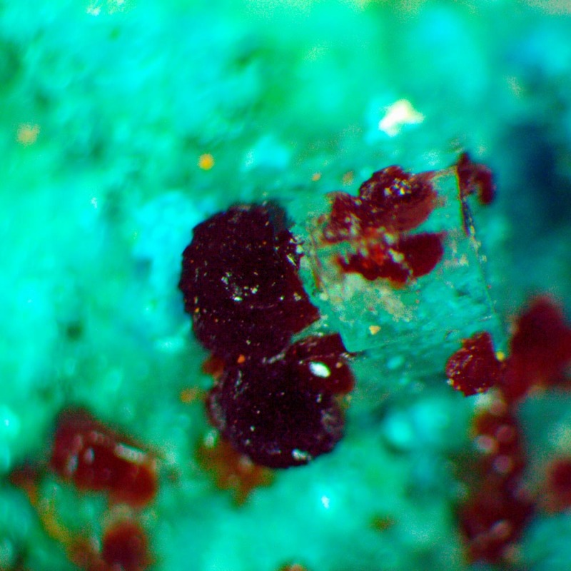 Canutite - Imagen 2