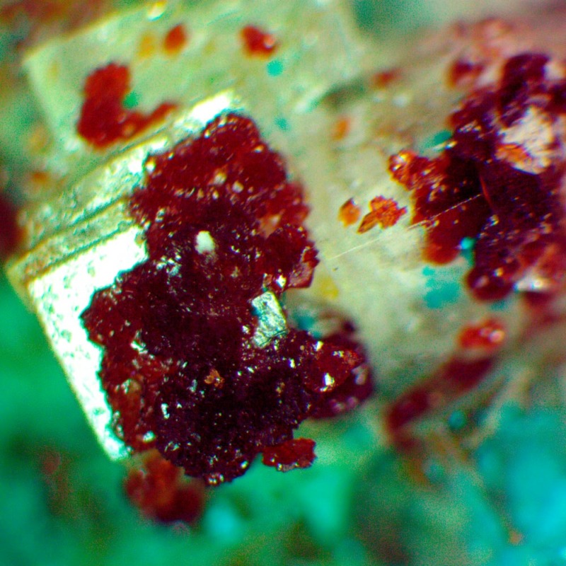Canutite - Imagen 5