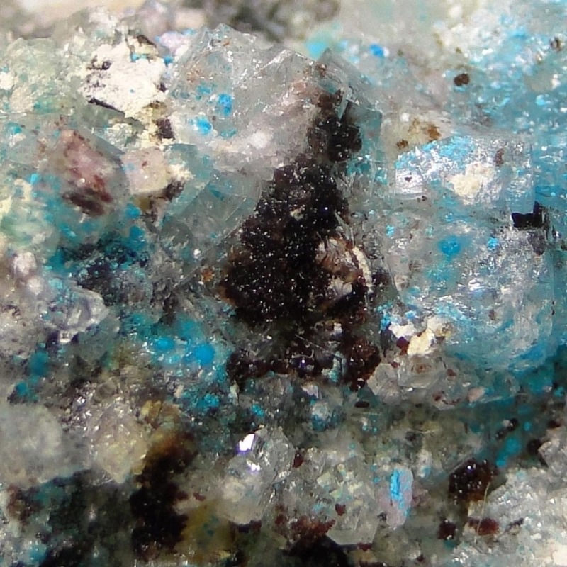 Canutite - Imagen 7