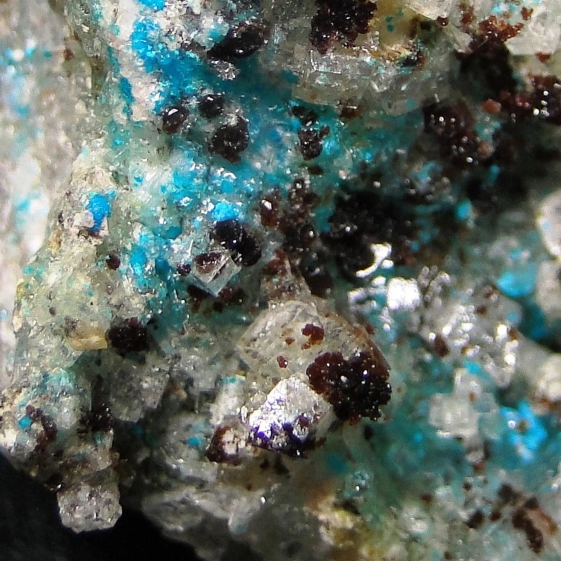 Canutite - Imagen 8