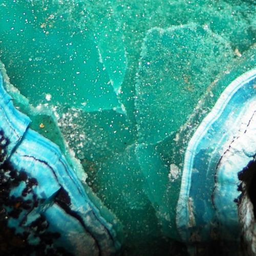 Chrysocolla