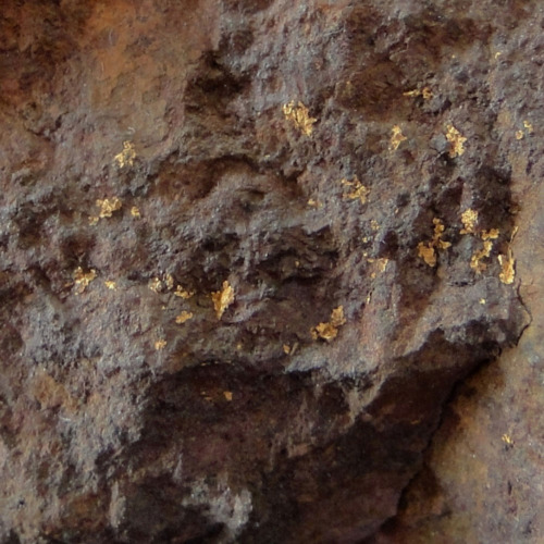Gold