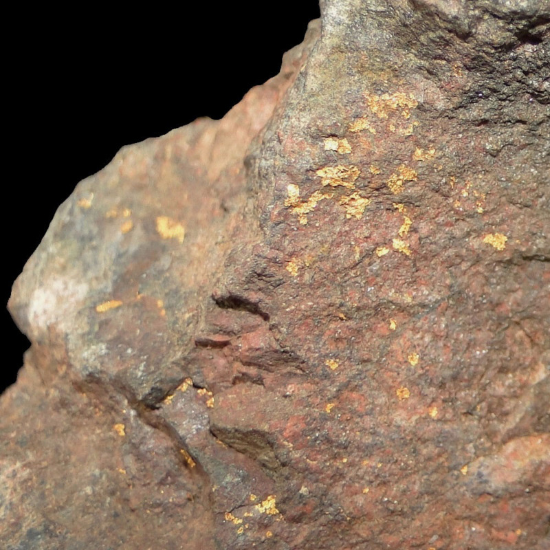 Gold - Imagen 4