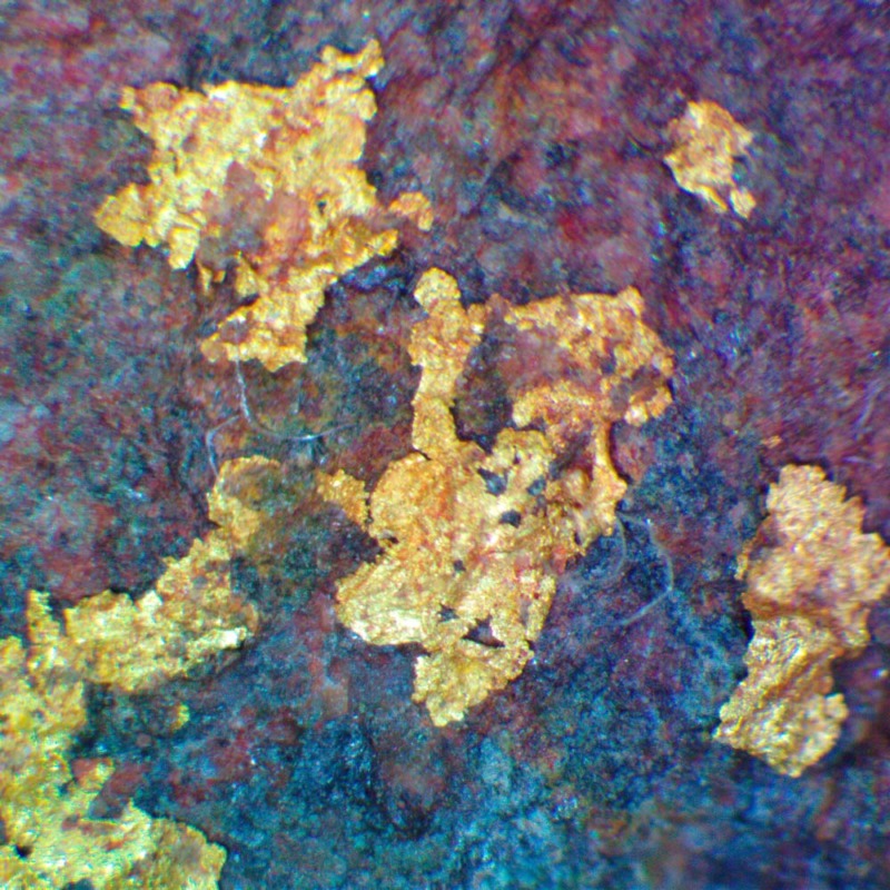 Gold - Imagen 5