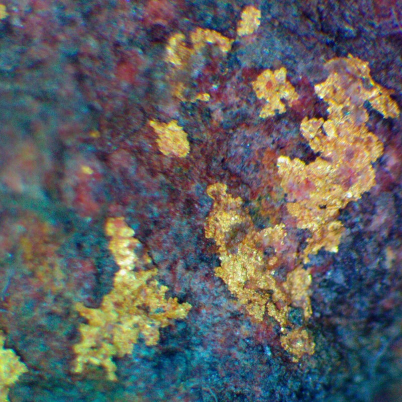 Gold - Imagen 6