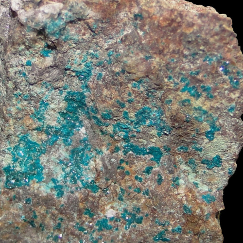 Haydeeite