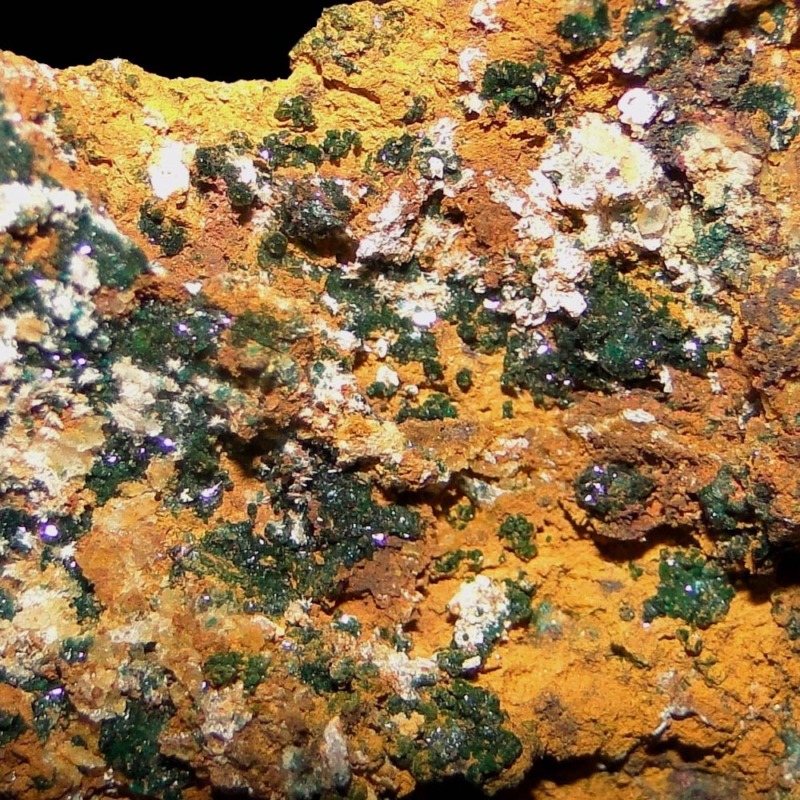 Hersbertsmithite
