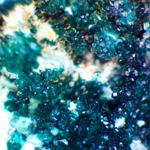 Hersbertsmithite
