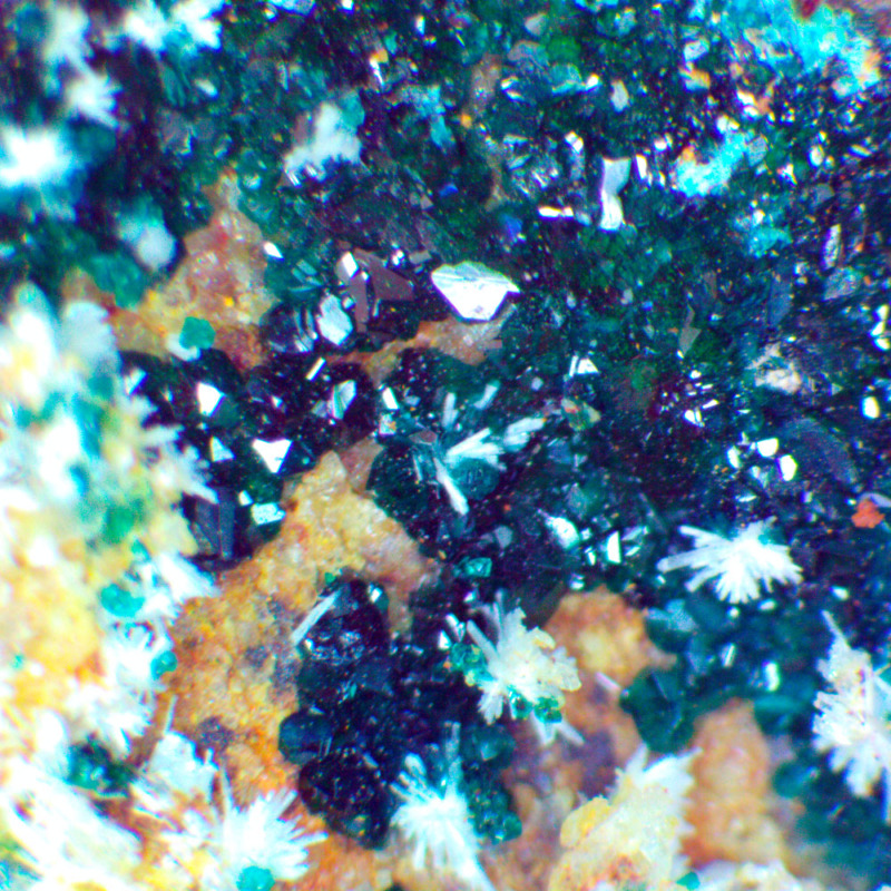 Hersbertsmithite - Imagen 6