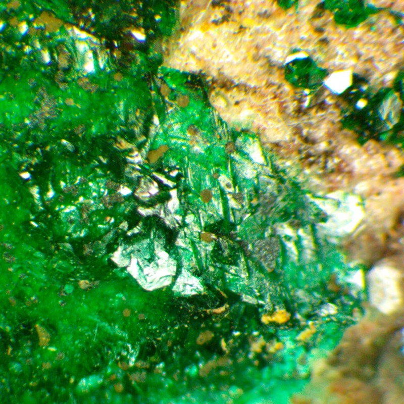 Leveretitte - Image 2