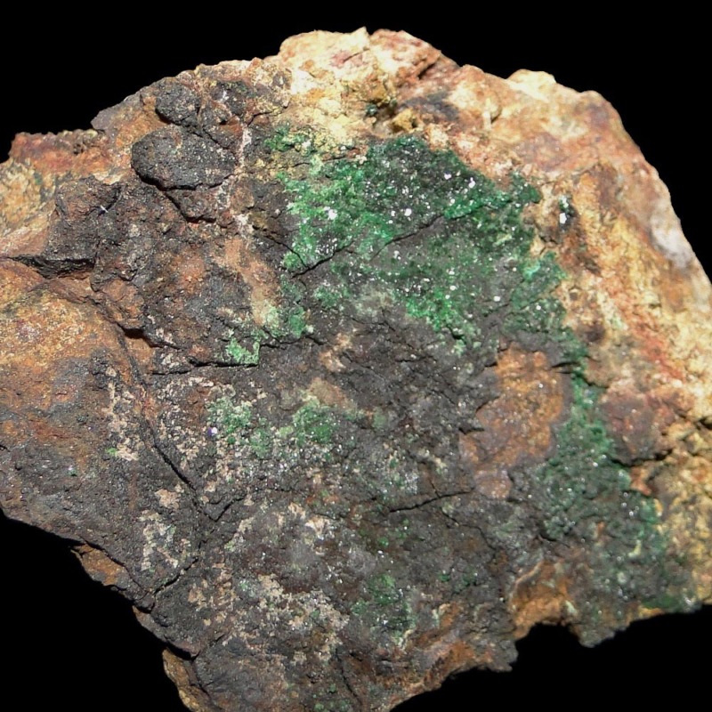 Leveretitte - Image 3