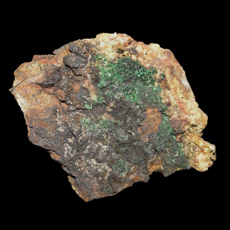 Leveretitte - Image 5