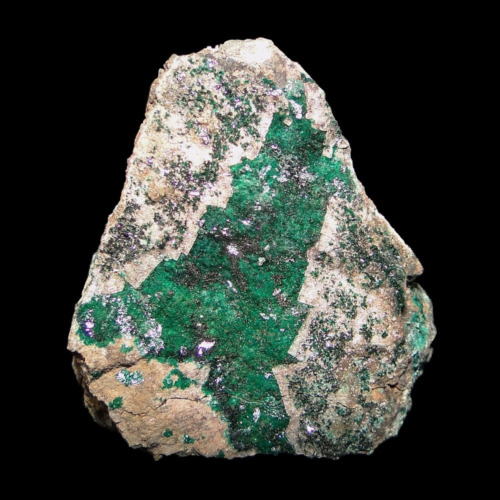 Paratacamite & Tondiite