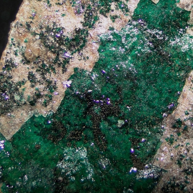 Paratacamite & Tondiite - Image 2