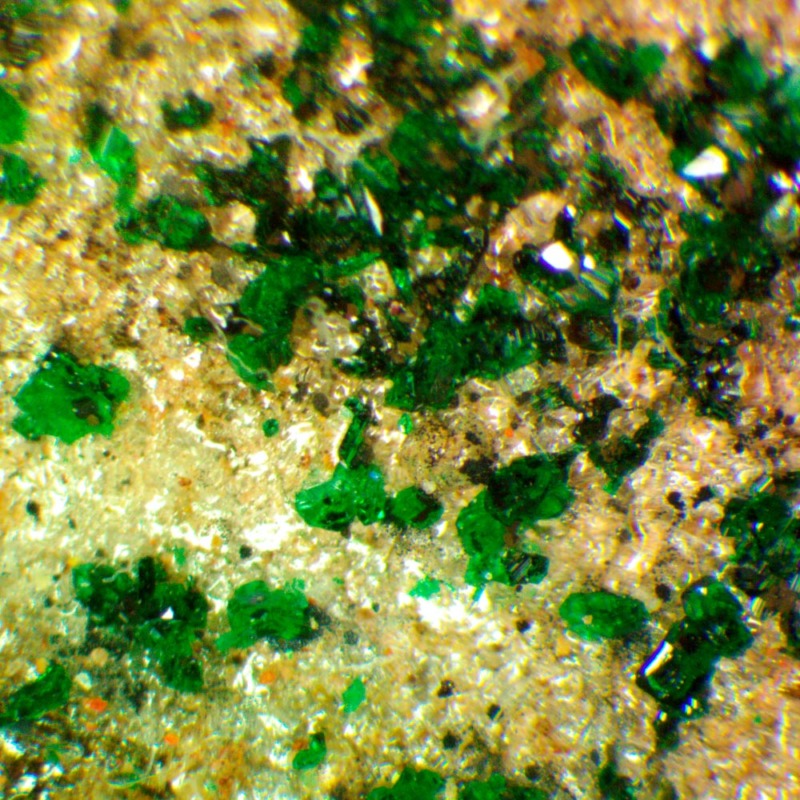 Paratacamite & Tondiite - Image 3
