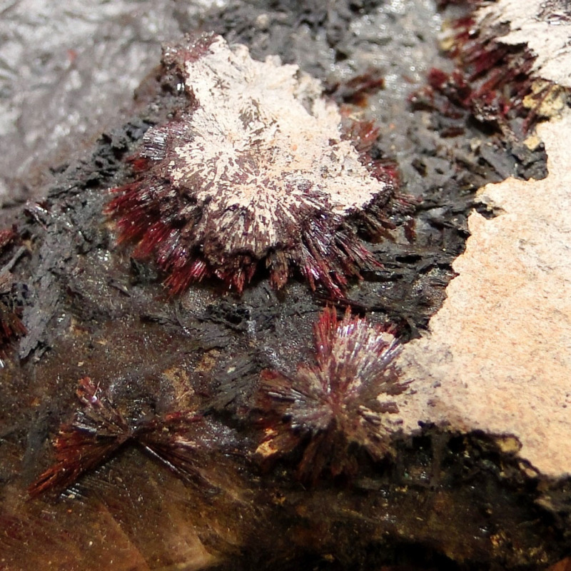 Piemontite