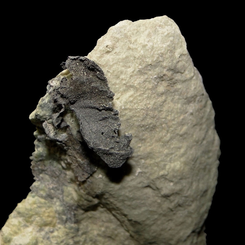 Native Silver - Imagen 3
