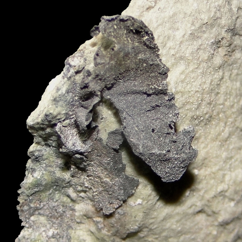 Native Silver - Imagen 4