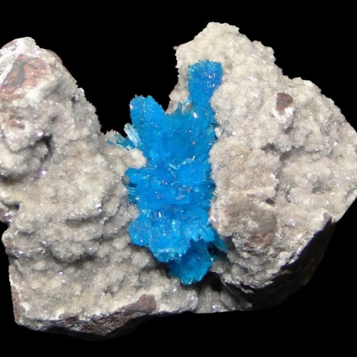 Pentagonite