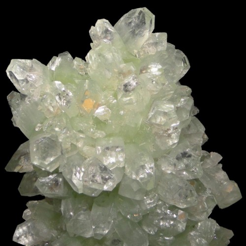 Apophyllite