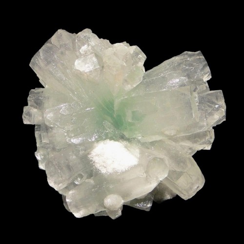 Apophyllite