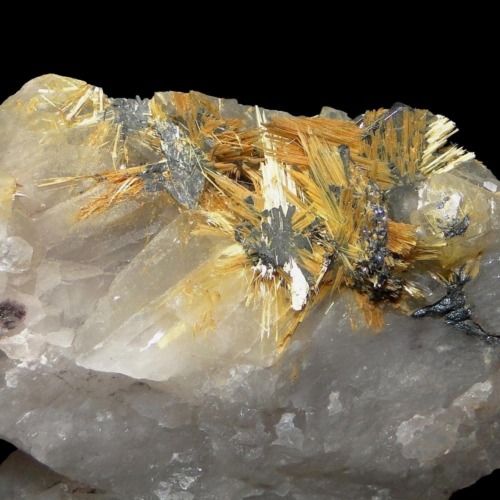 Rutile