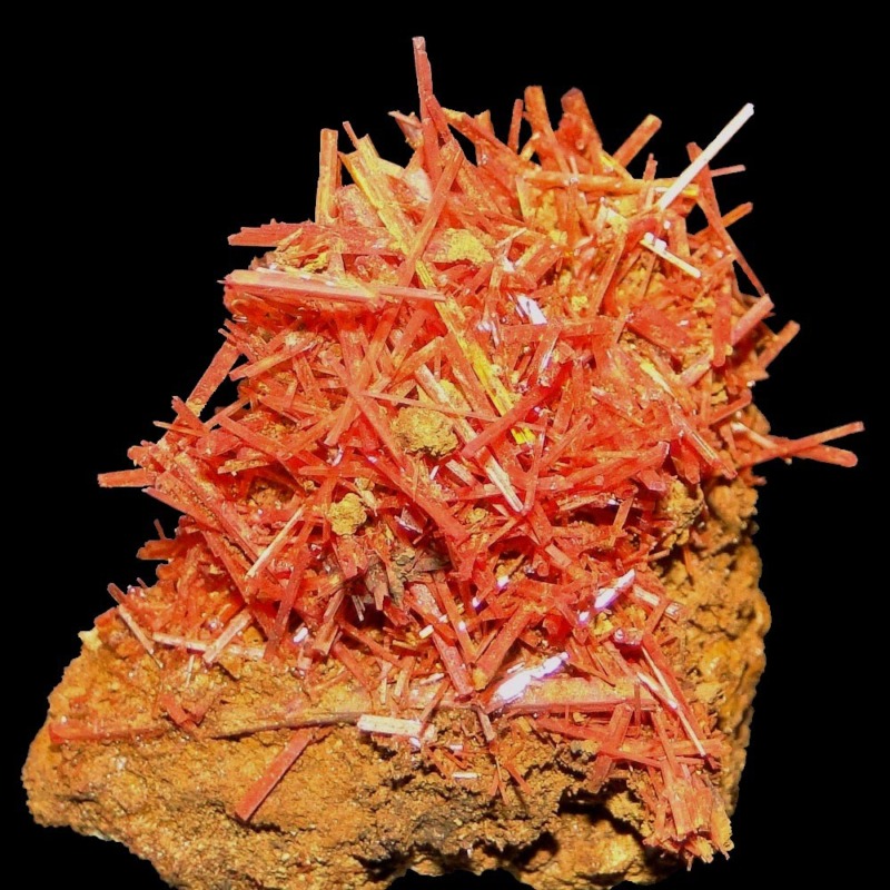 Crocoite - Imagen 2