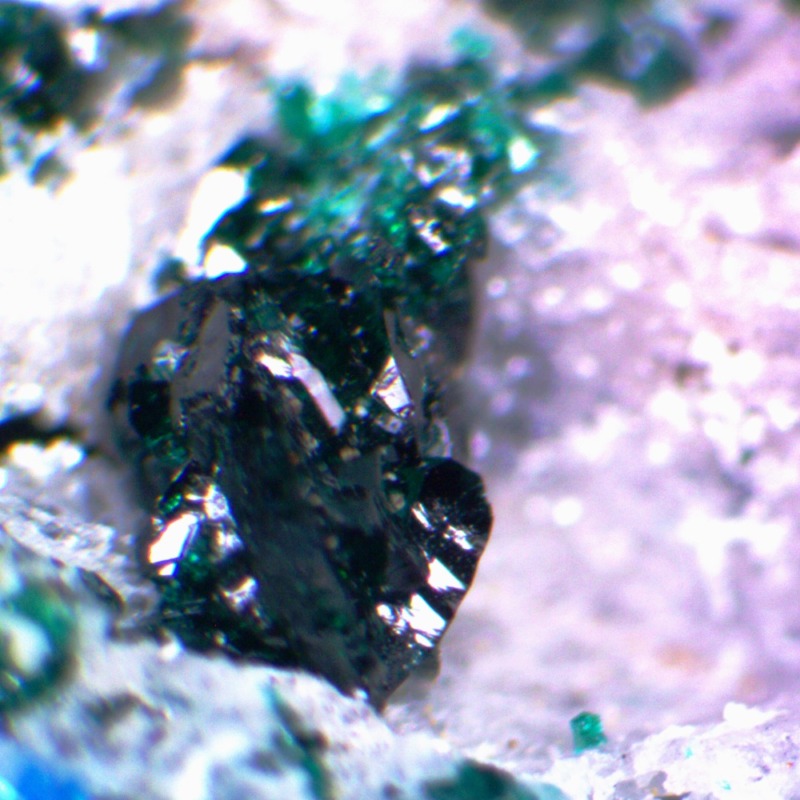 Lavendulan - Imagen 2