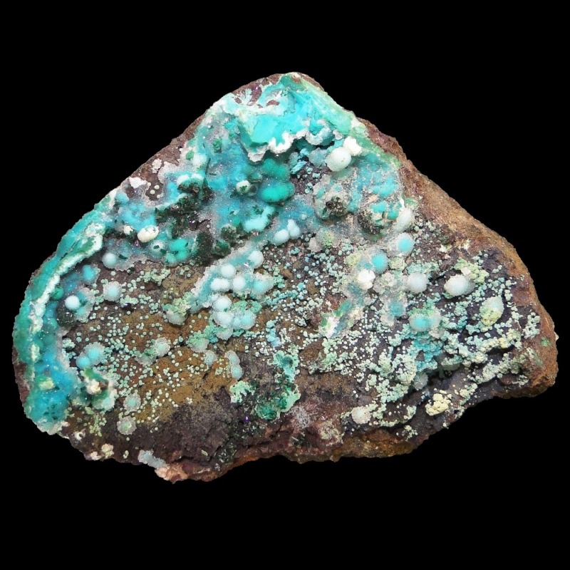 Chrysocolla & Brochantite