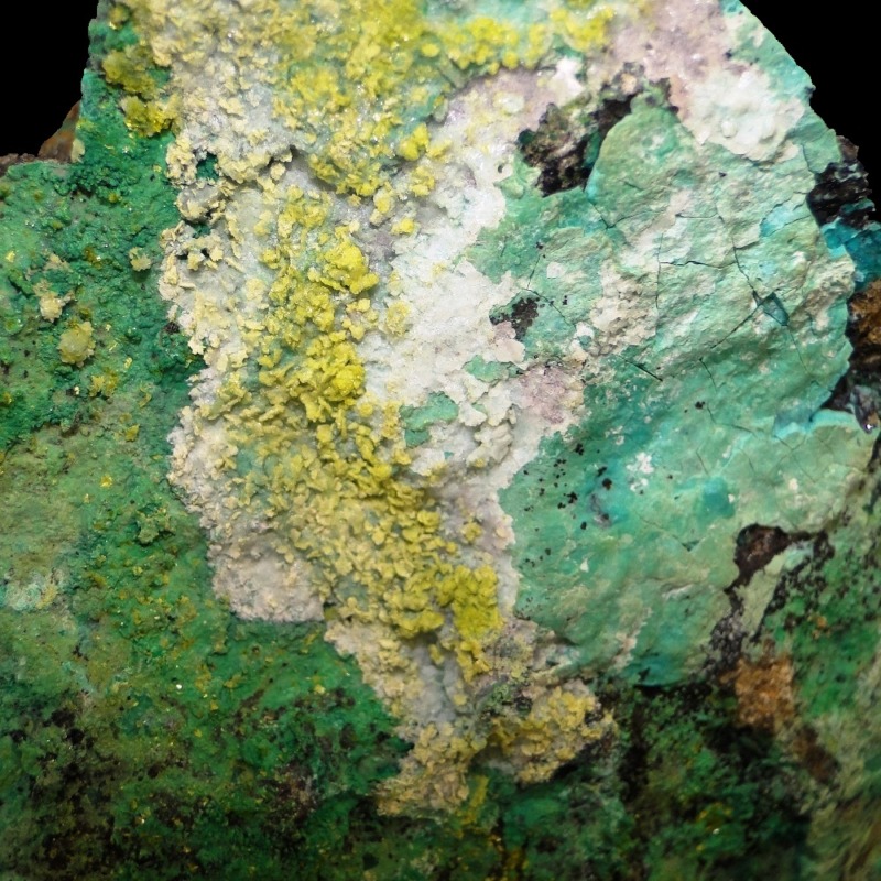 Volborthite