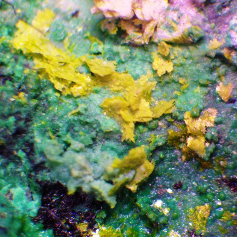 Volborthite - Imagen 2